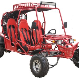 RPS TK300 EFI 300cc 4-Seater Go-Kart (TK300GK-6A), Full-Size with Chrome Rims