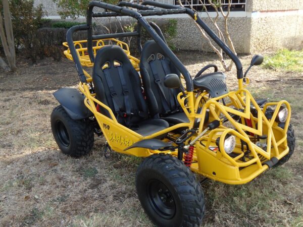 RPS Sahara 150cc (TK150GK-2S) Full-Size Off-Road Go-Kart, Electric Start, 17-Inch Seat Height
