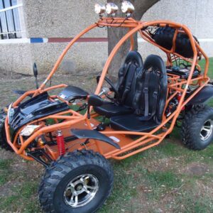 RPS Standard 200 (TK200GK-10) Dune Buggy Go-Kart, Automatic, 4-Stroke, Single Cylinder, Forced Air Cooling