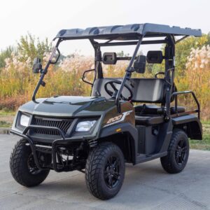 Vitacci CROSS LAND 200 EFI Golf Cart, 4-Stroke Single Cylinder, Forced Air & Oil Cooling, Balance Shaft, Electric Start