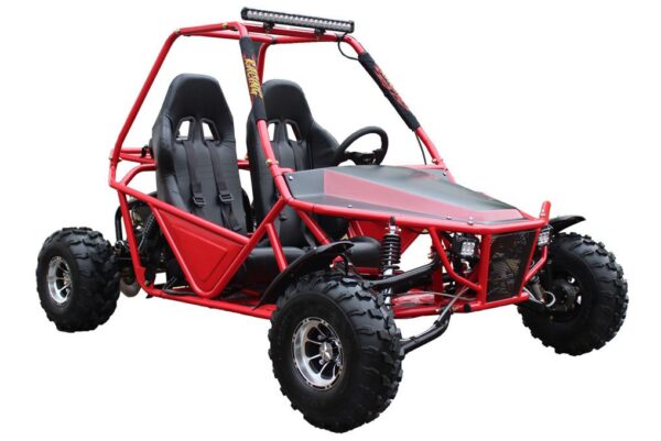 Vitacci Batman 200CC Deluxe Go Kart, 177.3cc Engine, Fully Automatic with Reverse, 4-Stroke Single Cylinder, Oil Cooled