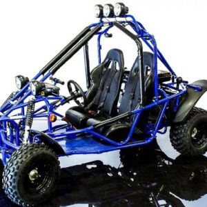 RPS Tranformer 200cc Gokart, Fully Automatic with reverse, 4-Stroke, Single Cylinder, Electric start