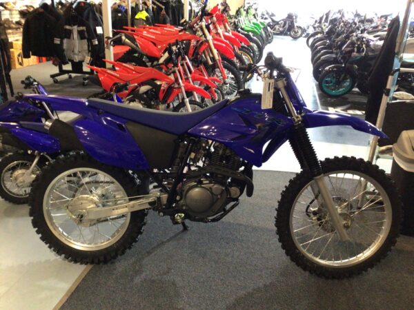 2024 Yamaha TT-R230