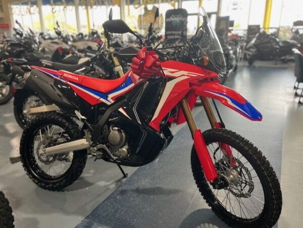 2024 Honda CRF300L Rally